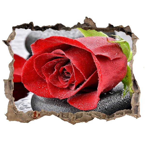 Sticker mural effet trou Rose rouge pierre