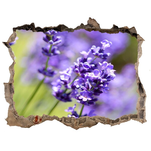Sticker trou dans le mur Lavande plantes pierre
