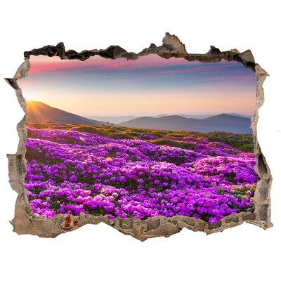 Autocollant à effet 3d trou Paysage floral dans les montagnes