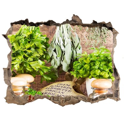 Autocollant mural trou Cuisine verte aux herbes aromatiques