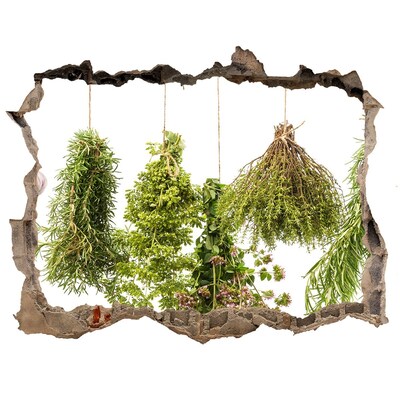 Sticker mural effet trou jardin d'herbes aromatiques en ruines