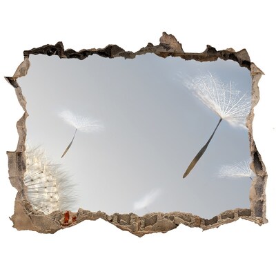 Autocollant à effet 3d trou Des pissenlits dans les nuages