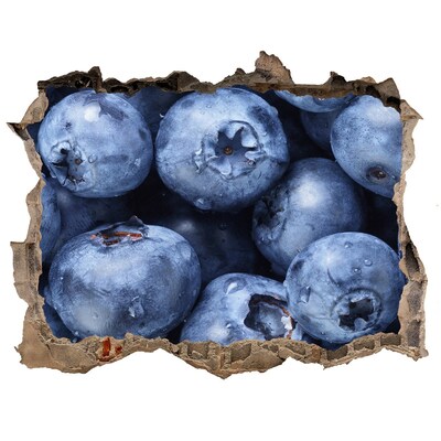 Autocollant mural trou Baies dans le béton