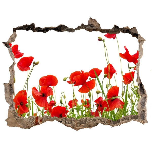 Sticker trou dans le mur Un paradis floral en béton