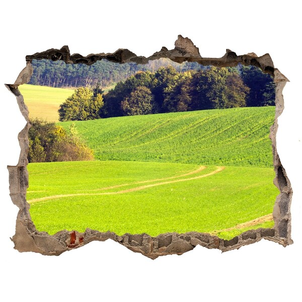 Sticker mural effet trou Prairie verte derrière le mur