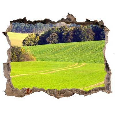 Sticker mural effet trou Prairie verte derrière le mur