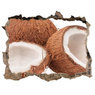 Sticker trou dans le mur Trésors de noix de coco