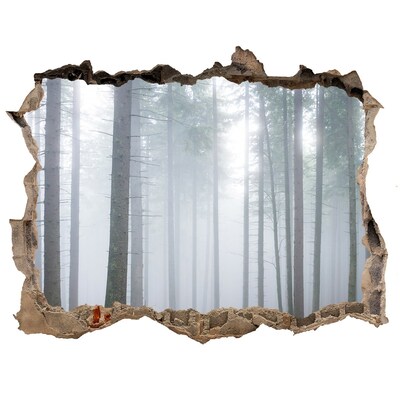 Sticker mural effet trou Brouillard dans la forêt pierre