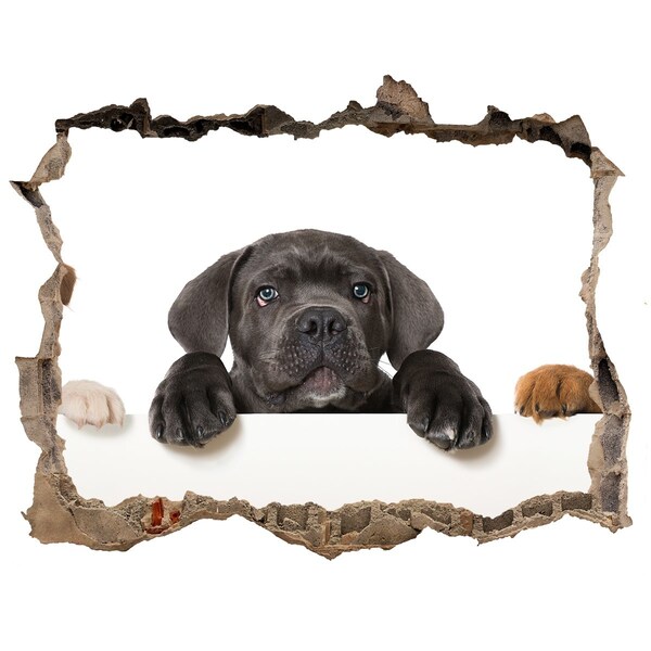 Autocollant à effet 3d trou Adorable chiot caché derrière le mur