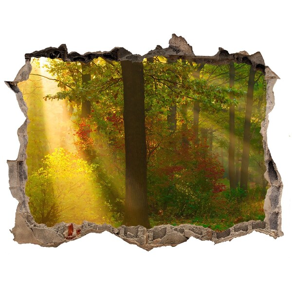 Sticker mural effet trou Paysages forestiers d'automne