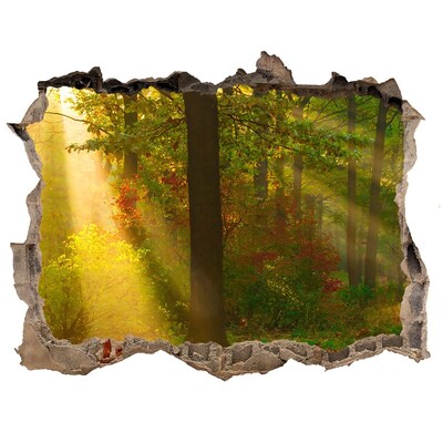 Sticker mural effet trou Paysages forestiers d'automne