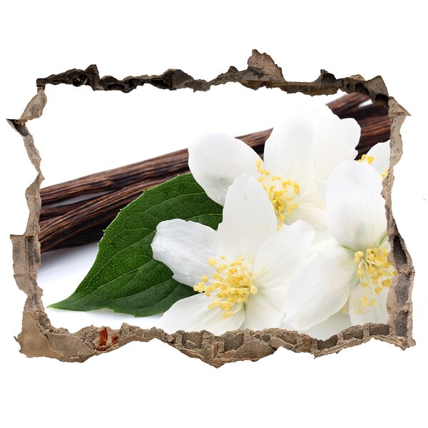 Sticker trou dans le mur Fleurs de jasmin dans du béton