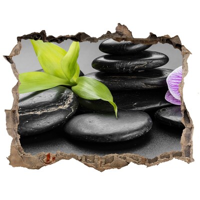 Autocollant à effet 3d trou Une vue apaisante avec des pierres et des plantes