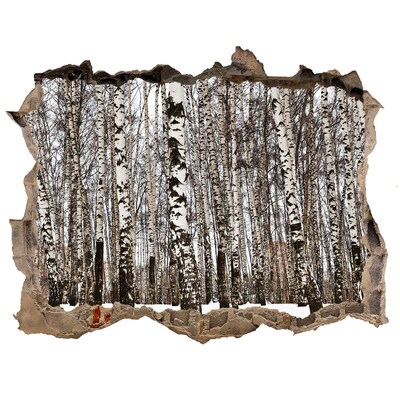 Autocollant mural trou forêt de bouleaux en hiver