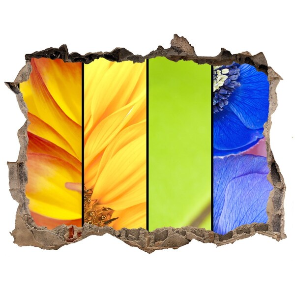 Autocollant à effet 3d trou Le monde floral derrière le mur