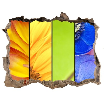 Autocollant à effet 3d trou Le monde floral derrière le mur