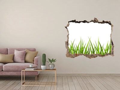 Sticker mural effet trou Herbe pierre