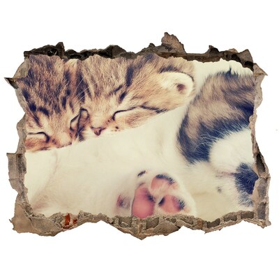 Sticker mural effet trou De mignons chatons dans un trou dans le mur