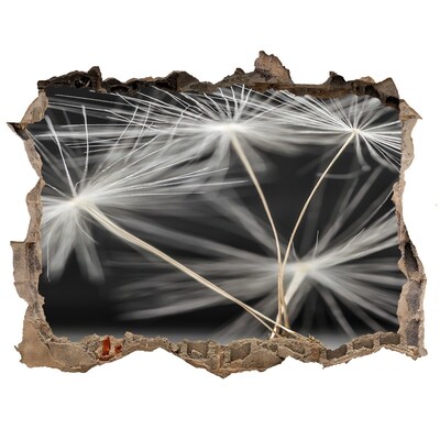 Sticker trou dans le mur Fleurs de pissenlit dans le béton