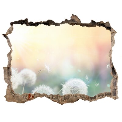 Sticker trou dans le mur Le monde floral derrière le trou