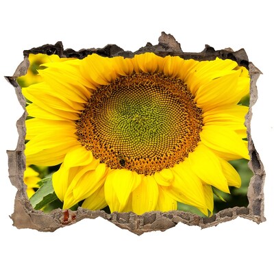 Sticker mural effet trou Champ de tournesol pierre