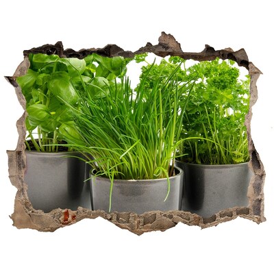 Sticker trou dans le mur Jardin vert en pots