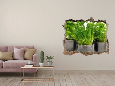 Sticker trou dans le mur Jardin vert en pots