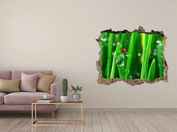 Autocollant mural trou Une goutte de rosée sur l'herbe avec une coccinelle