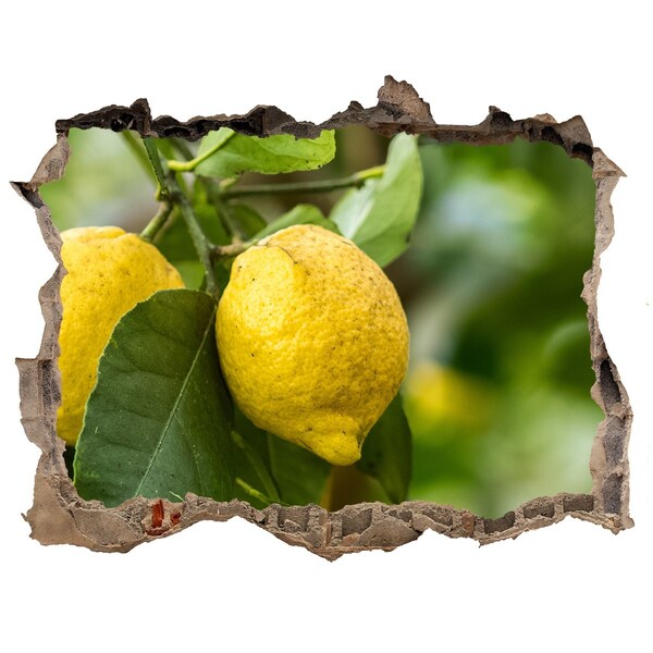 Autocollant mural trou Jardin de citronniers derrière le mur