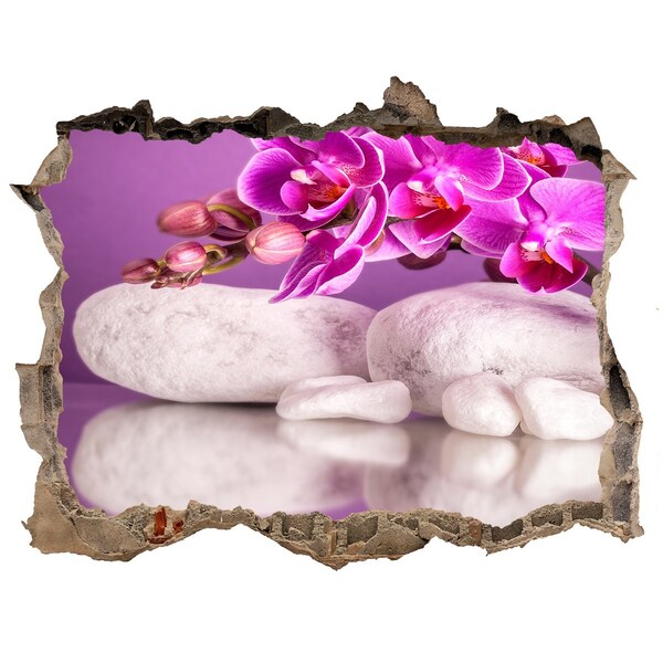 Autocollant mural trou Orchidée sur fond de pierres