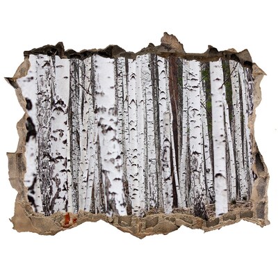 Sticker mural effet trou Oasis forestière de bouleaux blancs