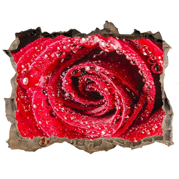 Autocollant mural trou Rose avec des gouttes d'eau