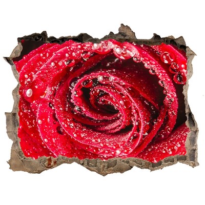 Autocollant mural trou Rose avec des gouttes d'eau