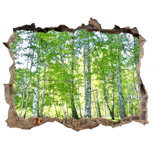 Autocollant à effet 3d trou Forêt verte dans un trou dans le mur