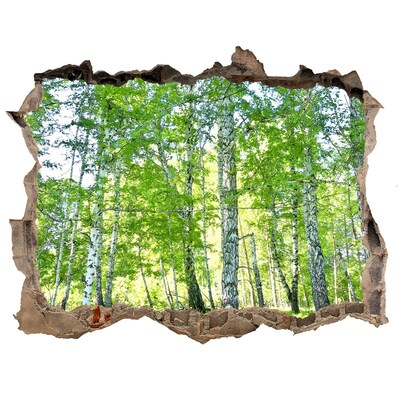 Autocollant à effet 3d trou Forêt verte dans un trou dans le mur