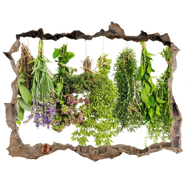 Sticker trou dans le mur oasis de verdure avec des herbes aromatiques