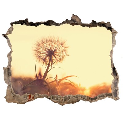 Autocollant à effet 3d trou Une fleur dans les rayons du soleil