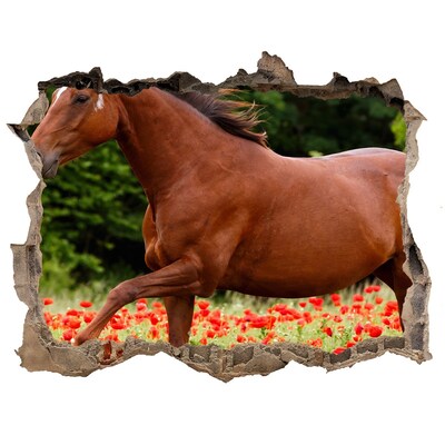 Autocollant à effet 3d trou Un cheval dans un champ de coquelicots