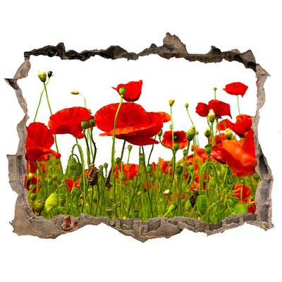 Sticker mural effet trou Coquelicots de terrain pierre