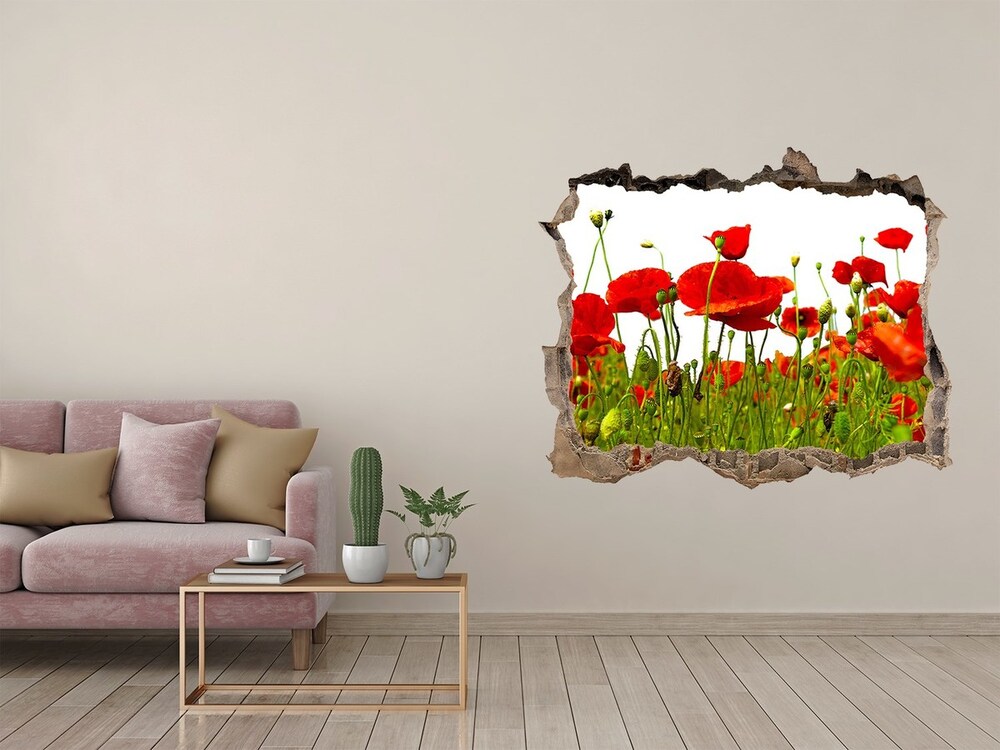 Sticker mural effet trou Coquelicots de terrain pierre