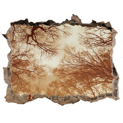 Sticker mural effet trou Reflet d'arbres dans un mur en ruine