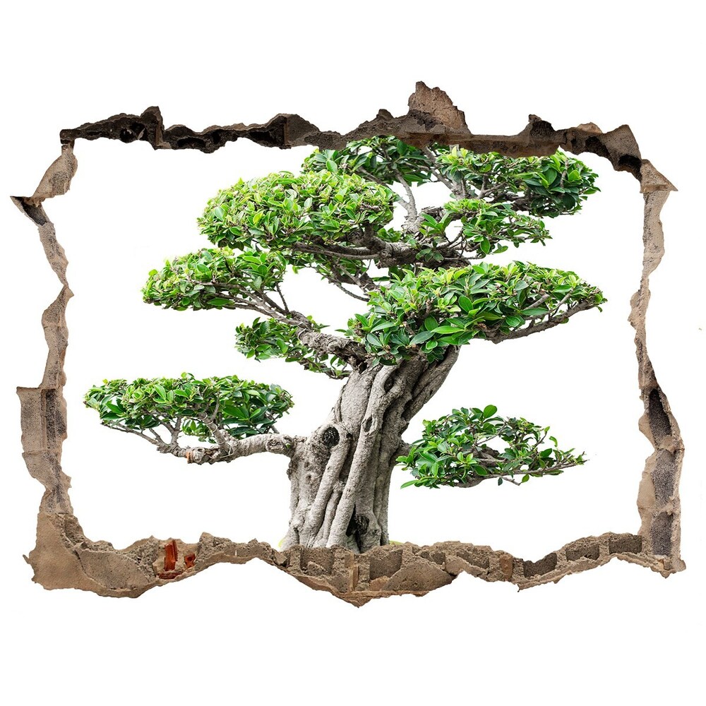 Autocollant à effet 3d trou Un bonsai pierre