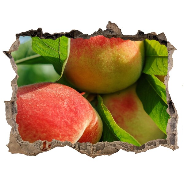 Sticker trou dans le mur verger de pommiers