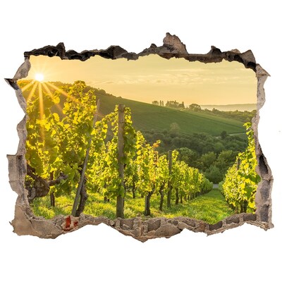 Autocollant à effet 3d trou Vignobles au soleil