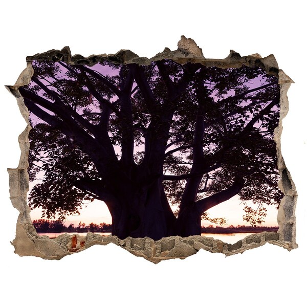 Autocollant à effet 3d trou Coucher de soleil derrière l'arbre