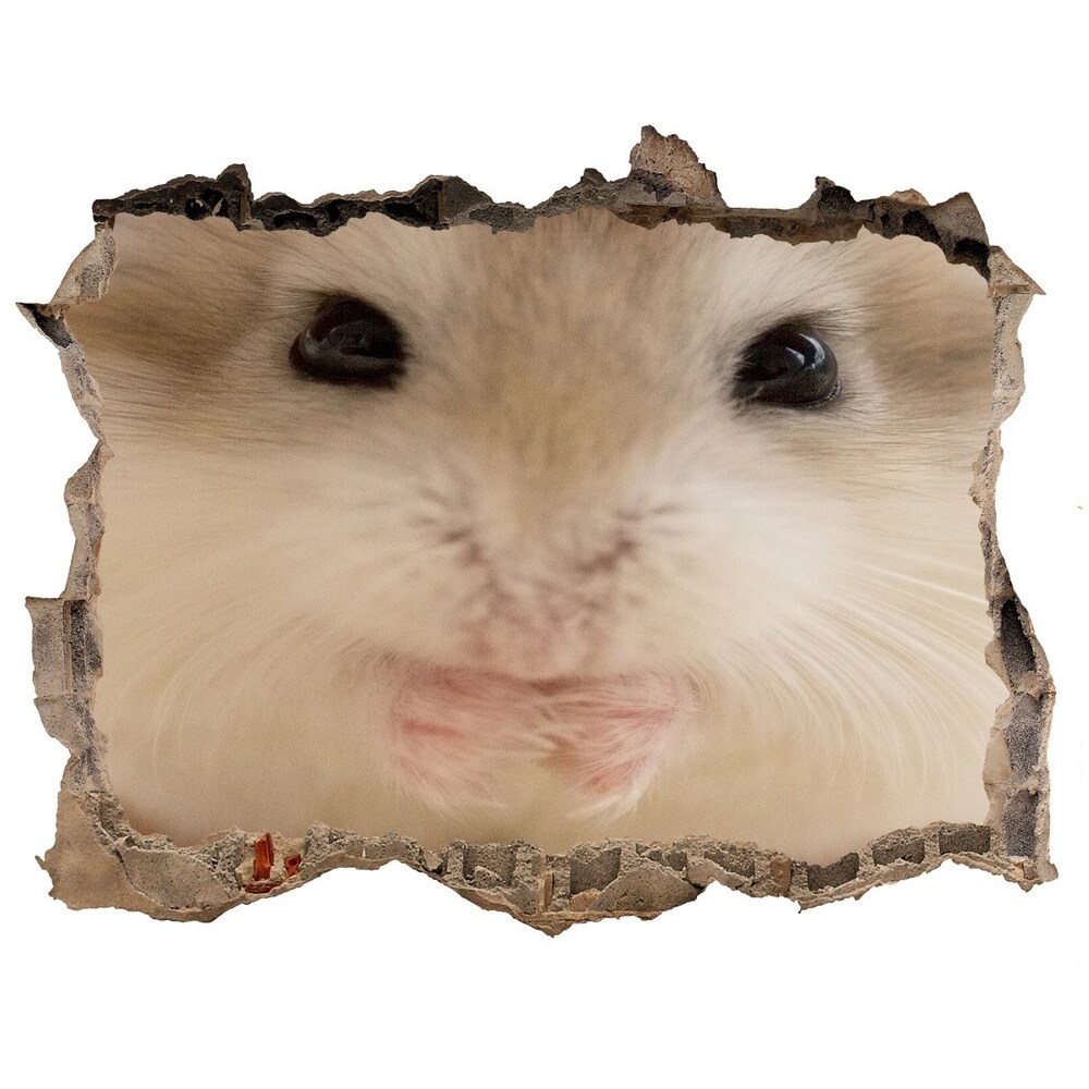 Sticker mural effet trou Hamster pierre