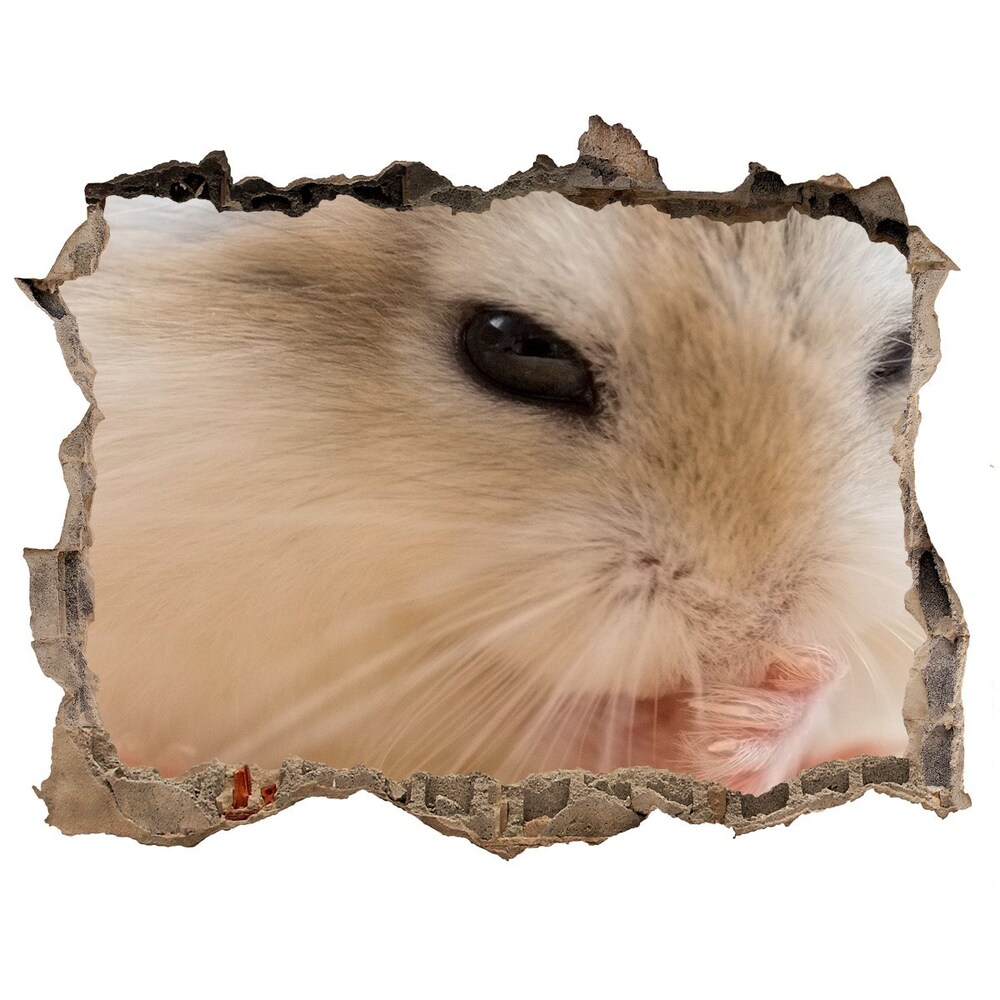 Autocollant à effet 3d trou Hamster pierre