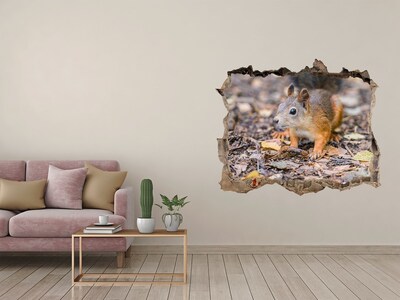 Sticker mural effet trou Écureuil dans la forêt