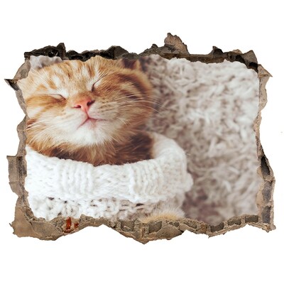 Sticker mural effet trou Chat mignon en pull