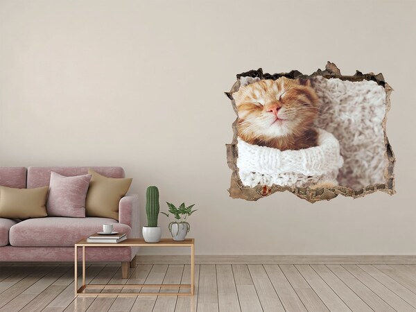 Sticker mural effet trou Chat mignon en pull